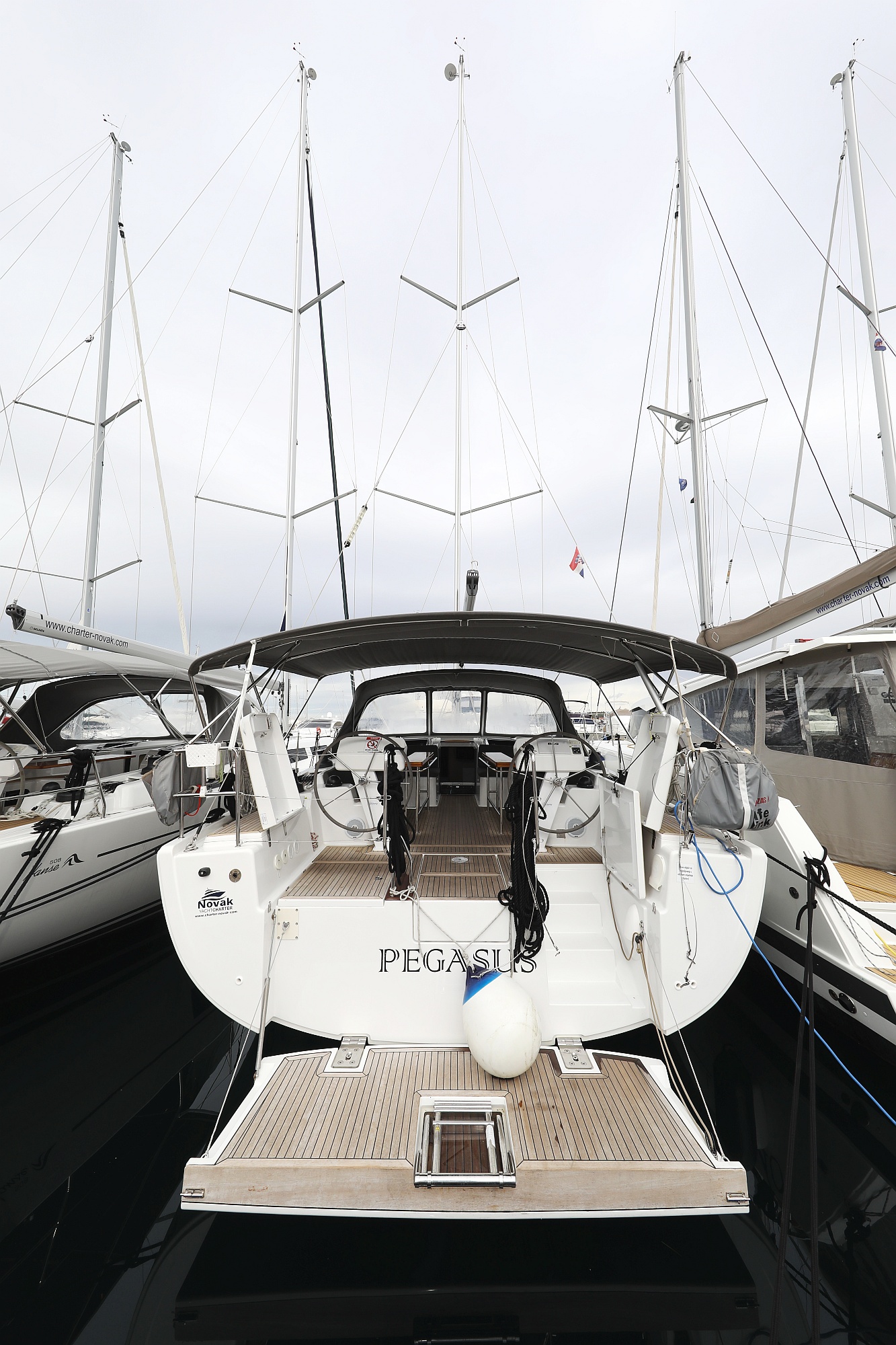 Hanse 508 - 5 + 1 cab. - Pegasus - 2019