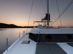 Dufour 48 Catamaran - 5 + 1 cab. - Delphinus - 2023